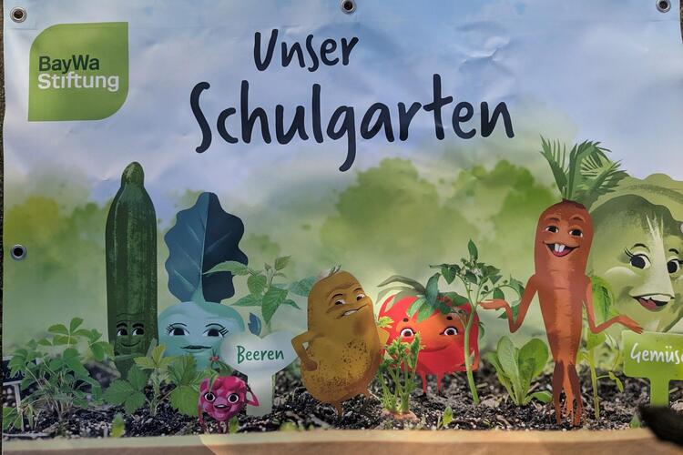 kleiner Schulgarten in der Alexia-Schule